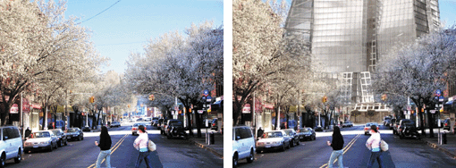5thAveBrooklyn_Cohn.gif