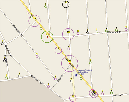 flatbush_glenwood.jpg