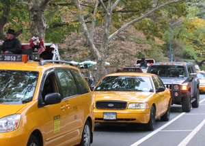cars_in_central_park2.jpg