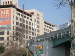 bqe.JPG