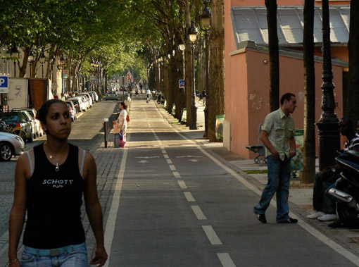 Paris_bikelanes.jpg