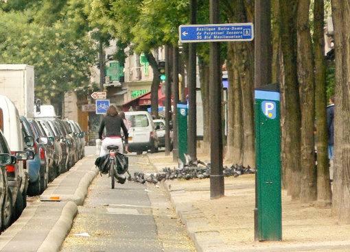 paris_oldbikelane.jpg