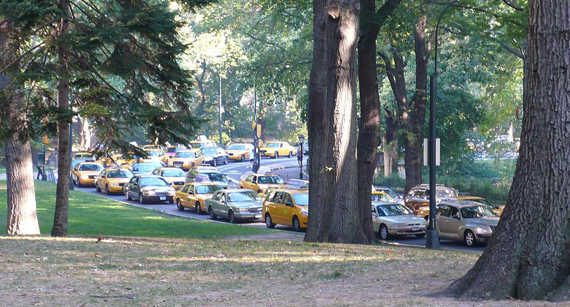 parkcars.jpg