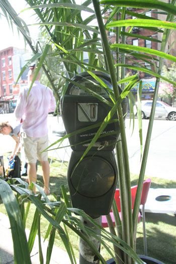 jungle-meter.jpg
