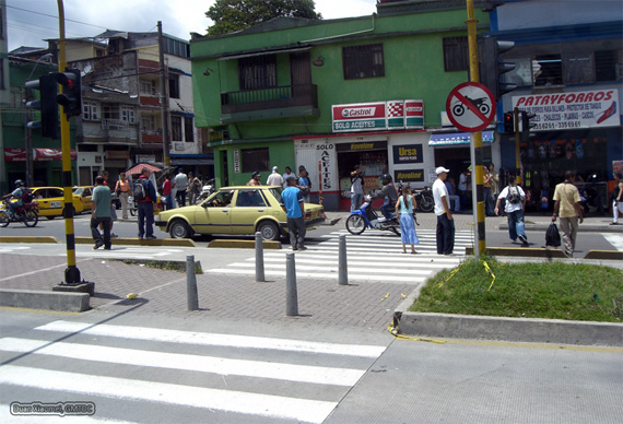 pereira.jpg