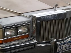 206873127_e16bec2204.jpg