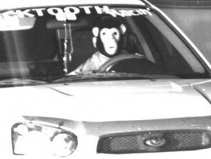 maskedmoron.jpg