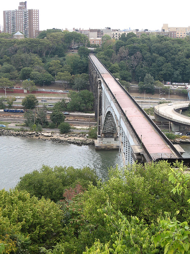 1547790890_dcdebba627.jpg