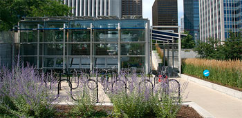 33rd street lot_1.png