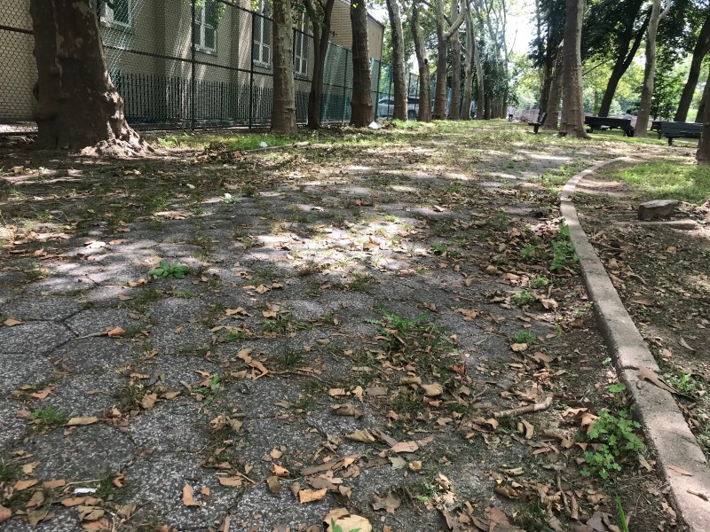 The portion of the bike path between Sixth and Seventh avenues in Leif Ericson Park in Bay Ridge is overgrown. Photos by Gersh Kuntzman