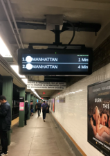 Photo: Julianne Cuba