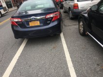 A symbol of New York City's bike lane network. File photo: Vivian Lipson