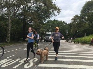 Runners, cyclists, a dog and a tractor trailer! A great combo.