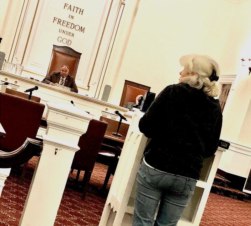 Maria Darassi makes a point to Elizabeth, NJ City Council President William Gallman, Jr Tuesday night. Photo: Vince DiMiceli