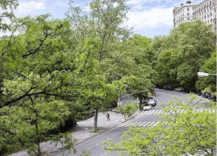 A perfect place for a bi-directional bike lane? Riverside Drive in the 90s. Photo: Zillow