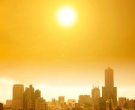 Yes, we know this is not New York. Photo: CDC