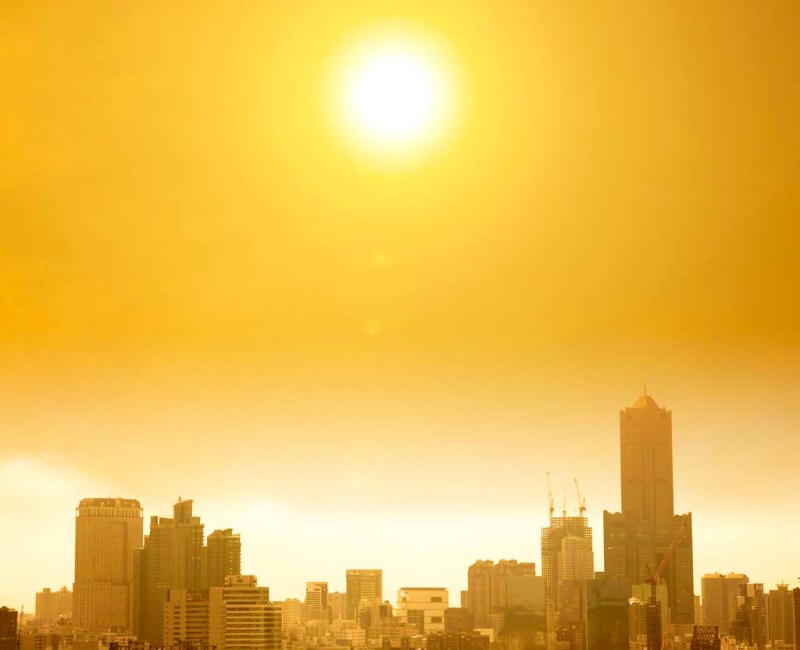 Yes, we know this is not New York. Photo: CDC