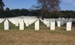 Too many to bear. File photo: Gersh Kuntzman