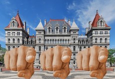 Welcome to the Albany blame game.