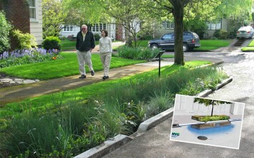 Bioswales!